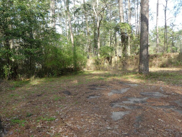 7091 Thomasville Rd, Tallahassee, FL 32312 - photo 13
