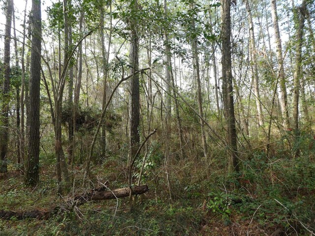 7091 Thomasville Rd, Tallahassee, FL 32312 - photo 12