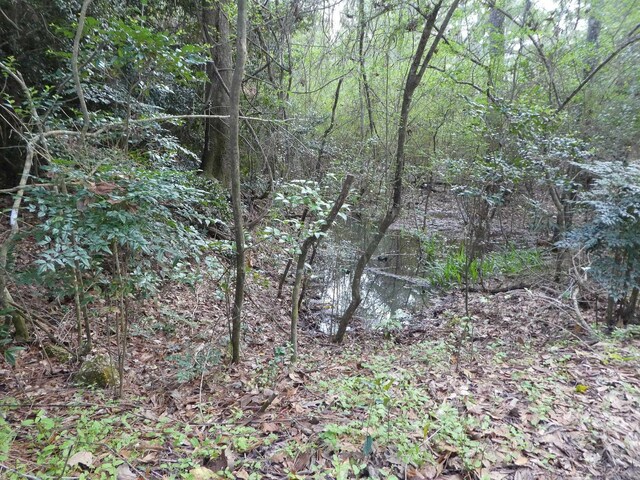 7091 Thomasville Rd, Tallahassee, FL 32312 - photo 21