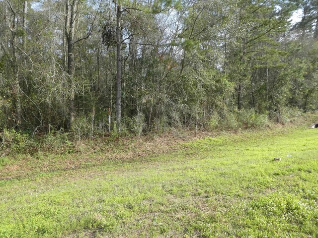 7091 Thomasville Rd, Tallahassee, FL 32312 - photo 22