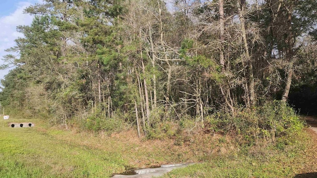 7091 Thomasville Rd, Tallahassee, FL 32312 - photo 9