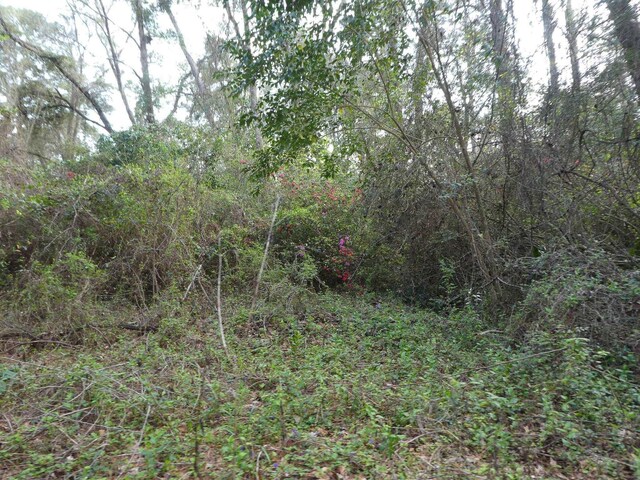 7091 Thomasville Rd, Tallahassee, FL 32312 - photo 20
