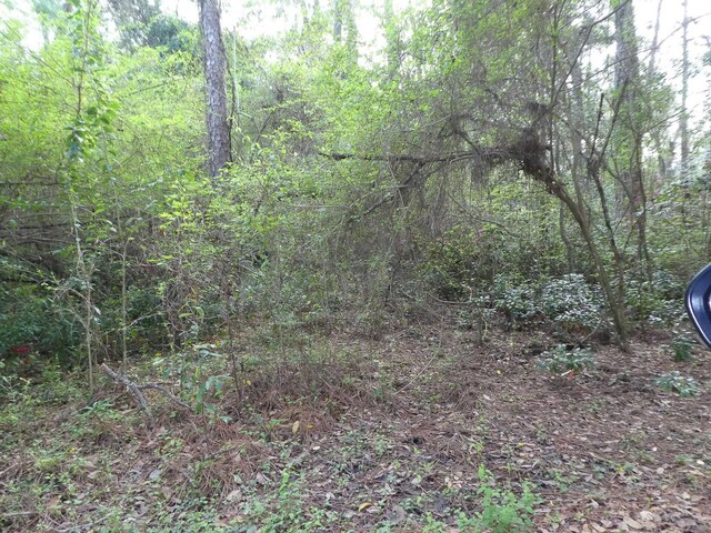 7091 Thomasville Rd, Tallahassee, FL 32312 - photo 16