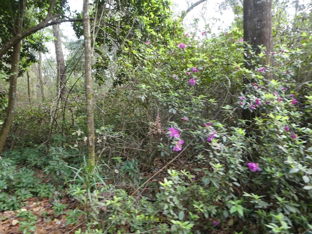 7091 Thomasville Rd, Tallahassee, FL 32312 - photo 19