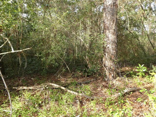 7091 Thomasville Rd, Tallahassee, FL 32312 - photo 15