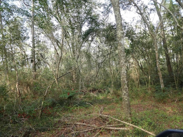 7091 Thomasville Rd, Tallahassee, FL 32312 - photo 10