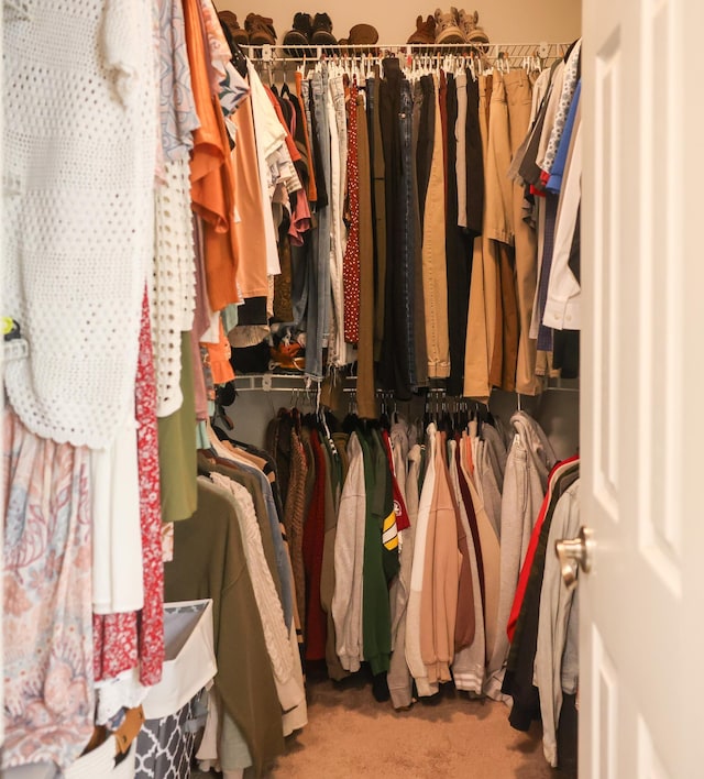 330 Dreadnaught Ct, Tallahassee, FL 32312 - walk in closet featuring carpet flooring