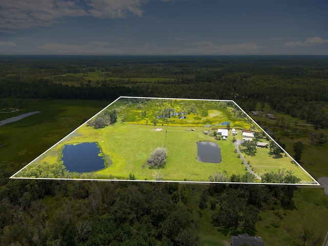 5481 Turner Rd, Perry, FL 32348 - aerial view of property's location featuring a forest, property boundaries highlighted, and a large body of water