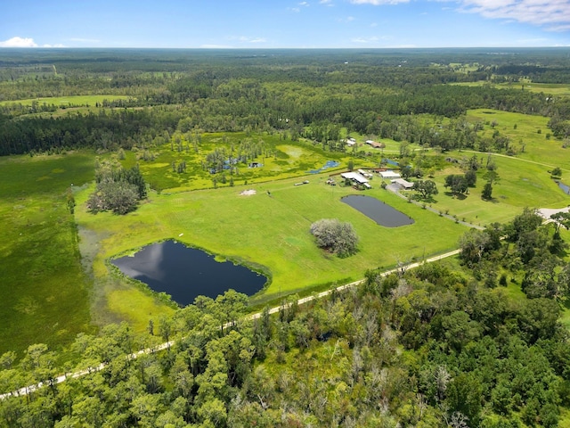 5481 Turner Rd, Perry, FL 32348 - bird's eye view of a heavily wooded area and a nearby body of water