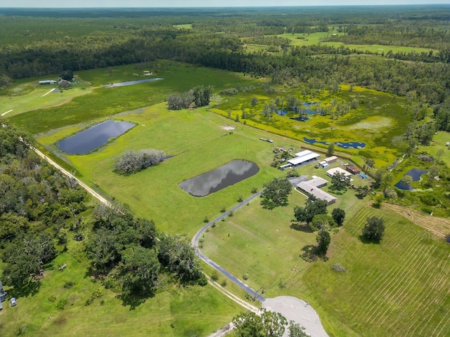 5481 Turner Rd, Perry, FL 32348 - aerial view of property and surrounding area with a nearby body of water and a heavily wooded area