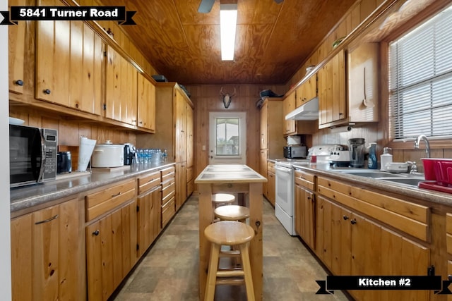 5481 Turner Rd, Perry, FL 32348 - kitchen with electric range, under cabinet range hood, black microwave, a sink, and wooden walls
