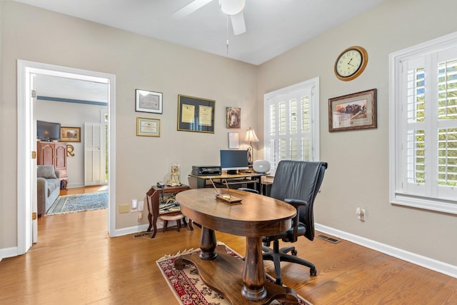 1244 Salem Rd, Havana, FL 32333 - home office featuring plenty of natural light, light wood-style floors, and ceiling fan