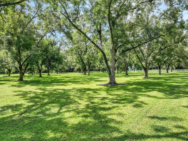 1244 Salem Rd, Havana, FL 32333 - view of green lawn