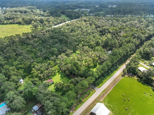 1244 Salem Rd, Havana, FL 32333 - aerial view of a forest