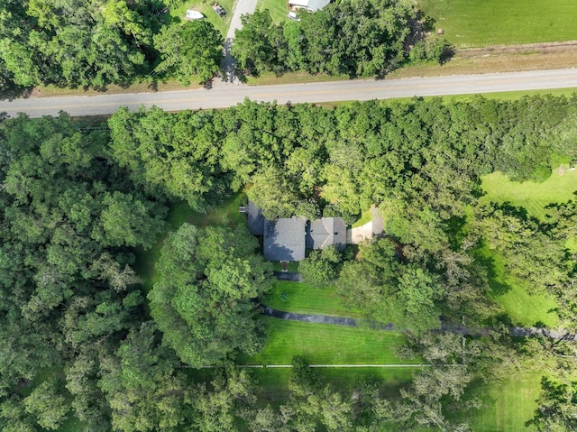 1244 Salem Rd, Havana, FL 32333 - aerial view of property's location
