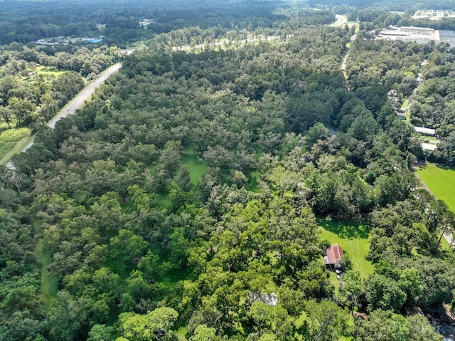1244 Salem Rd, Havana, FL 32333 - bird's eye view of a forest