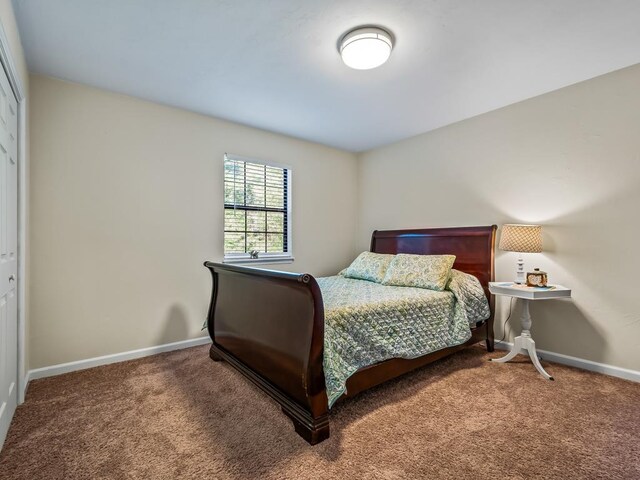 bedroom with a closet and carpet