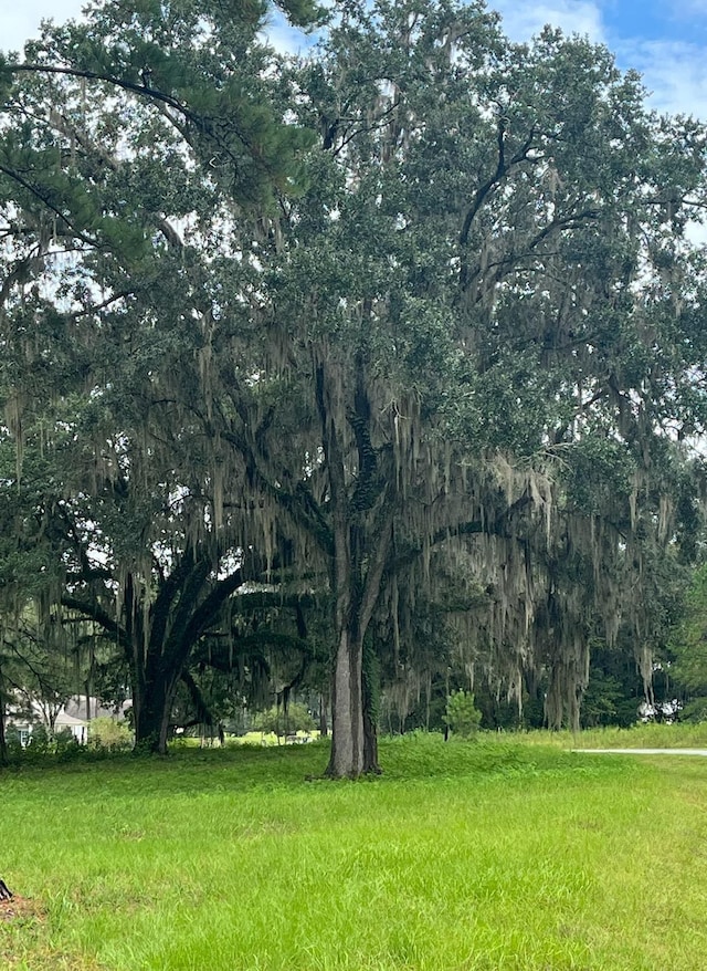 LOT4 Pine Fair Way, Tallahassee, FL 32309 - photo 2