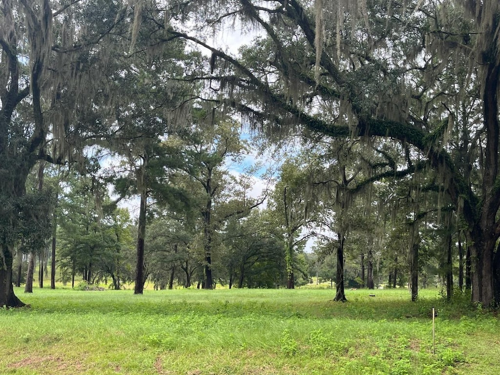 LOT4 Pine Fair Way, Tallahassee, FL 32309 - photo 1