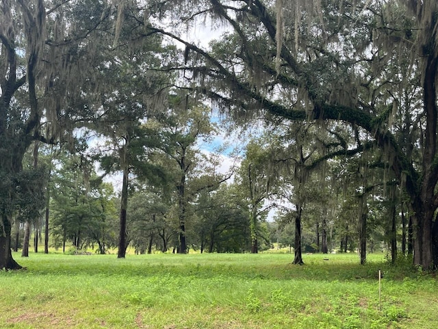 LOT4 Pine Fair Way, Tallahassee, FL 32309 - photo 1