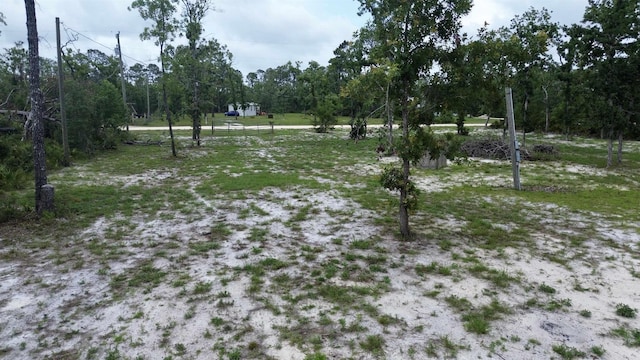 2556 Post Oak Rd, Keaton Beach, FL 32348