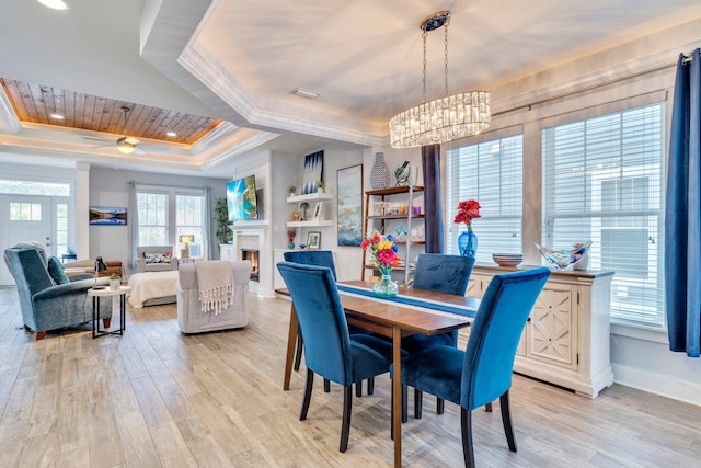 dining room with a raised ceiling, ornamental molding, ceiling fan with notable chandelier, and light wood-type flooring