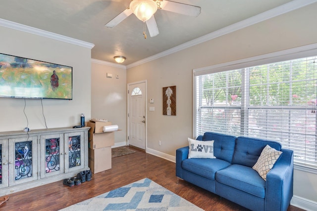 1924 Corvallis Ave, Tallahassee, FL 32304 - photo 3