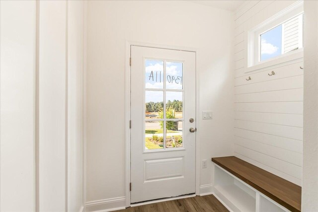 mudroom with dark wood-type flooring and a healthy amount of sunlight