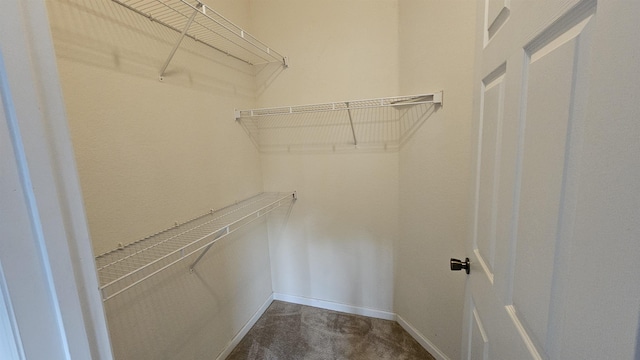 2801 Chancellorsville Dr Unit 1316, Tallahassee, FL 32312 - view of walk in closet