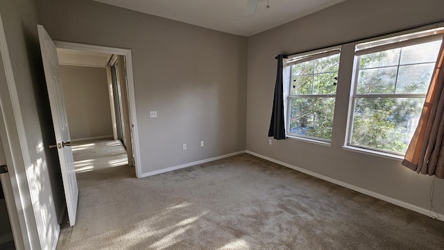 2801 Chancellorsville Dr Unit 1316, Tallahassee, FL 32312 - carpeted spare room with baseboards and a ceiling fan