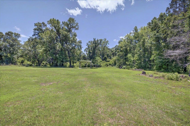 1538 Mclawrence Way, Tallahassee, FL 32317 - view of grassy yard with a wooded view