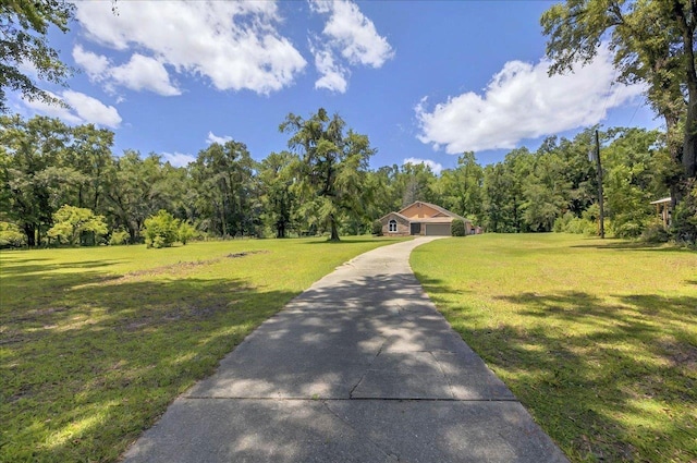 1538 Mclawrence Way, Tallahassee, FL 32317 - surrounding community featuring a yard, a forest view, and driveway