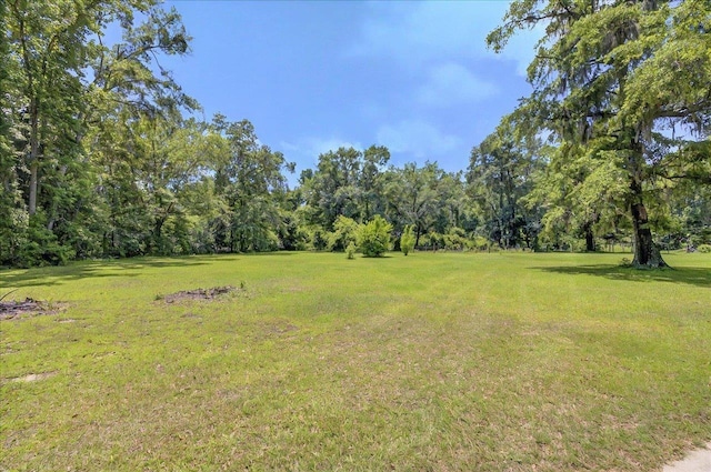 1538 Mclawrence Way, Tallahassee, FL 32317 - view of grassy yard