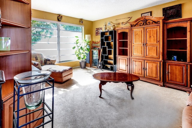 living room with carpet