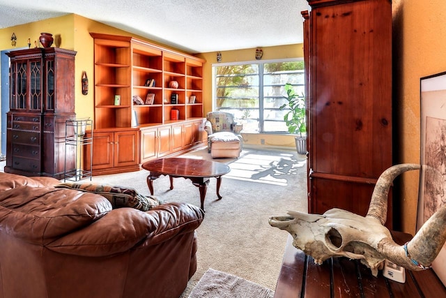 carpeted living room featuring a textured ceiling