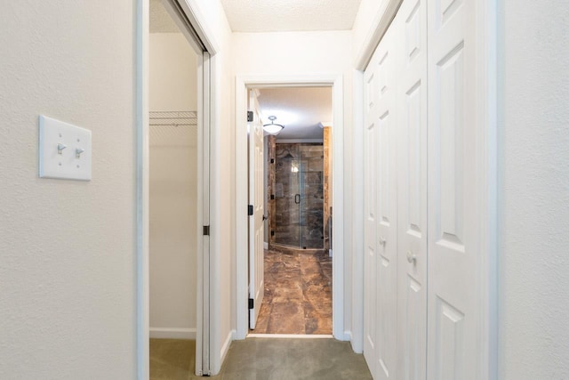 2304 Chester Ct, Tallahassee, FL 32312 - corridor with carpet flooring