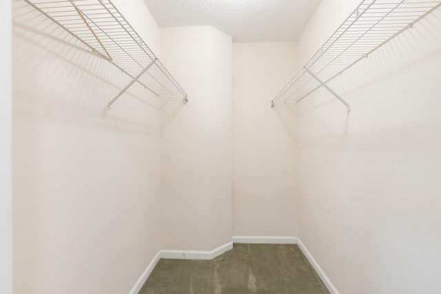 2304 Chester Ct, Tallahassee, FL 32312 - walk in closet with carpet floors