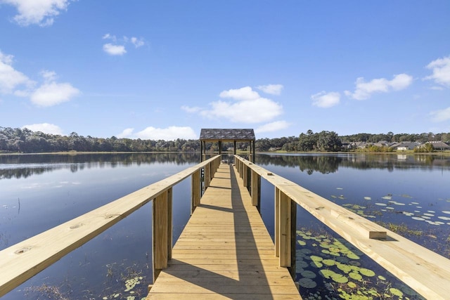 309 Dahlonega Dr, Tallahassee, FL 32308 - photo 40