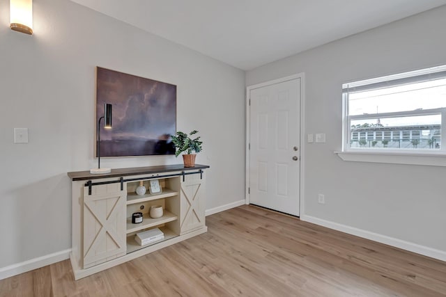 foyer entrance featuring light wood-type flooring