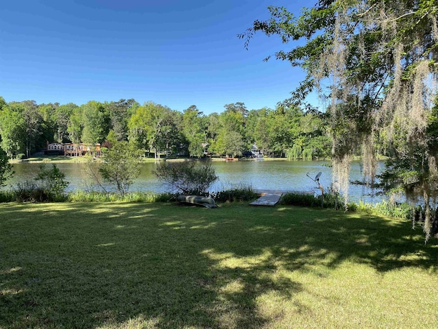 view of water feature featuring a view of trees