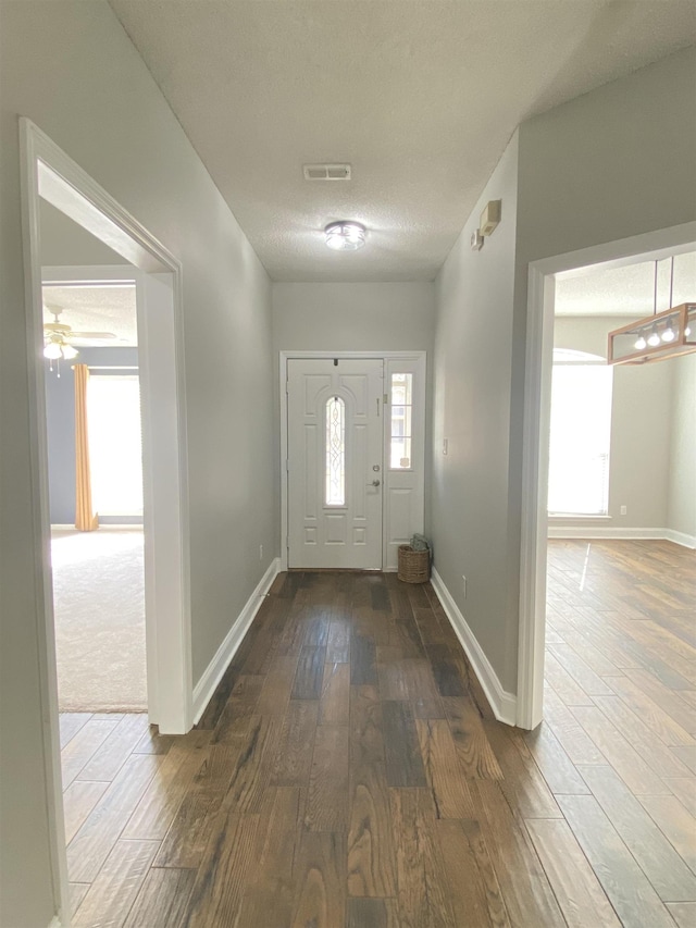 entryway featuring dark hardwood / wood-style flooring, a healthy amount of sunlight, and a textured ceiling