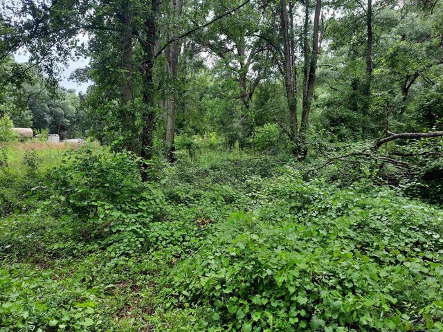 70 E 2nd Way, Greenville, FL 32331