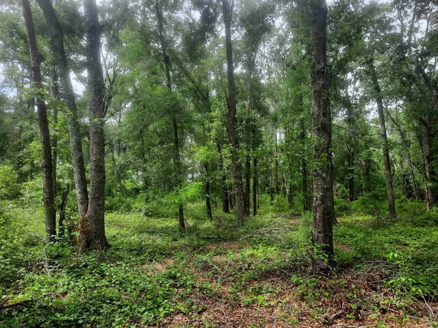 70 E 2nd Way, Greenville, FL 32331