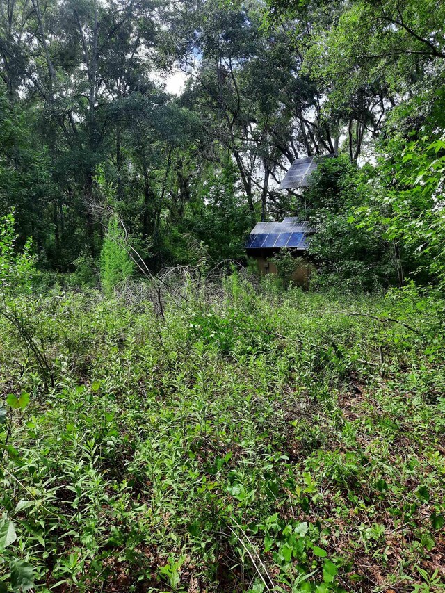 70 E 2nd Way, Greenville, FL 32331