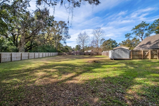 view of yard with a storage unit