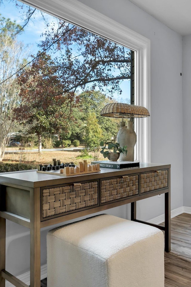 room details featuring hardwood / wood-style floors