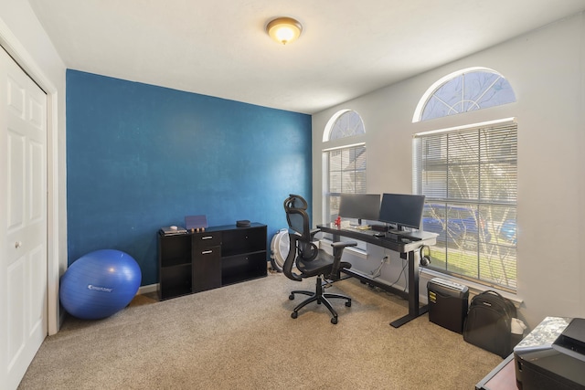 carpeted home office featuring a wealth of natural light