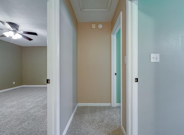 1917 Doomar Dr, Tallahassee, FL 32308 - photo 32