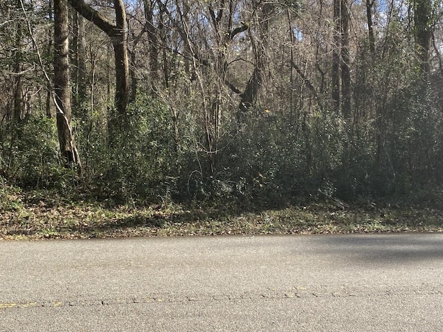 XX Beechwood Dr, Crawfordville FL, 32327 land for sale