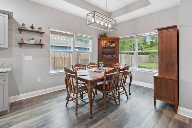 10732 Sycamore Ridge Ln, Tallahassee, FL 32305 - dining area with wood finished floors, plenty of natural light, and baseboards